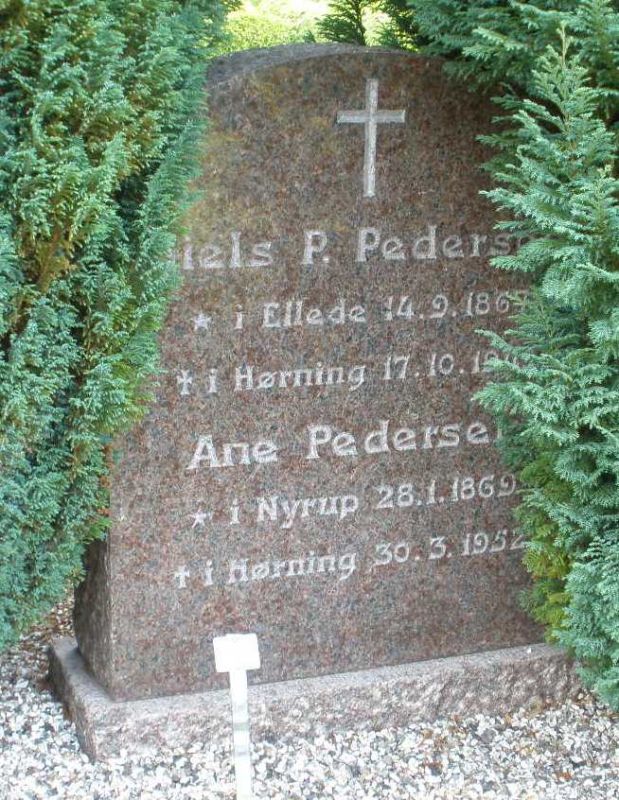 Niels P. Pedersen    .JPG
